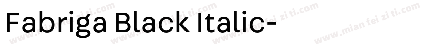 Fabriga Black Italic字体转换